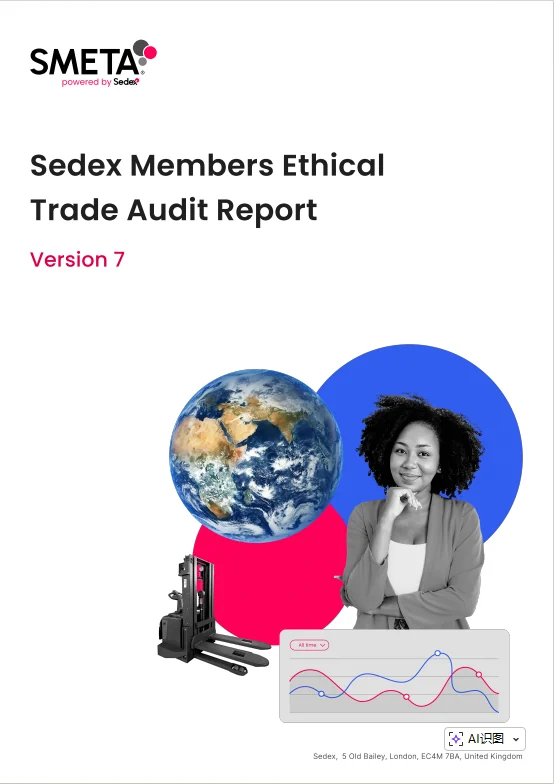 SMETA Version 7 Sedex Members Ethical Trade Audit report cover for Hongzhao supplier review; report reference available on request